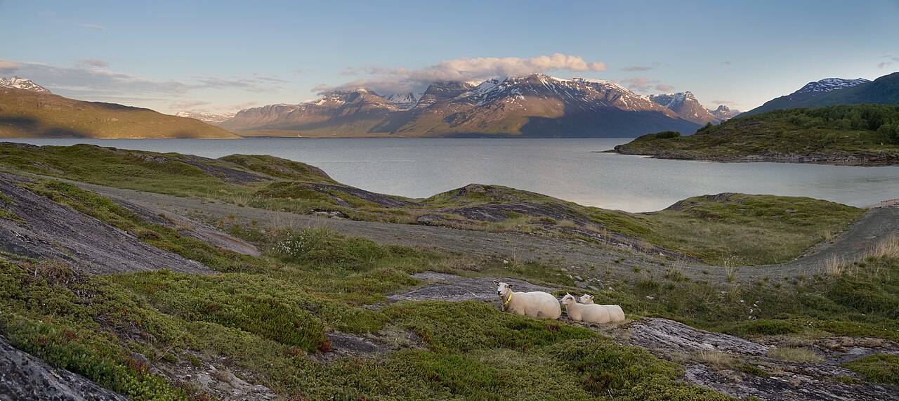 Summer night at Lyngspollen, Lyngen fjord, Troms, Norway, 2012 June.jpg