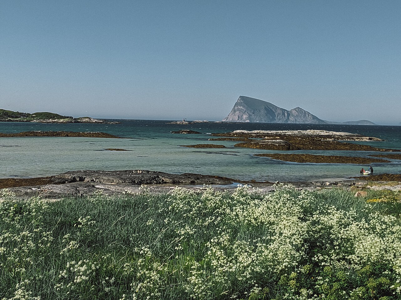 Håja Sommarøy.jpg